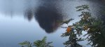 DSCF7748-5n.jpg