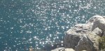DSCF7834-5n.jpg