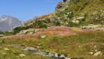 DSC_6096.jpg