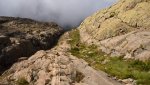 DSC_6134.jpg