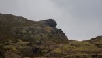 DSC_6154.jpg