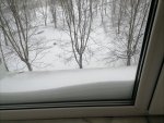 IMG_20210213_093559.jpg