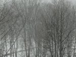 IMG_20210213_093610.jpg