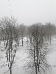 IMG_20210213_104453.jpg