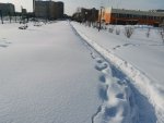 IMG_20210214_114659_compress33.jpg