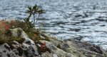 DSC_5906-3.jpg