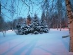 IMG_20210217_072302.jpg