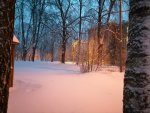 IMG_20210217_072246.jpg