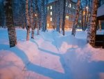 IMG_20210217_072241.jpg