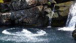 DSC_6062-3.jpg