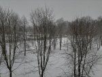 IMG_20210221_122328.jpg