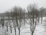 IMG_20210221_122333.jpg