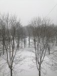 IMG_20210221_123014.jpg