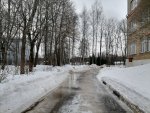 IMG_20210227_103146.jpg