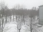IMG_20210228_084848.jpg