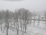 IMG_20210305_115520.jpg