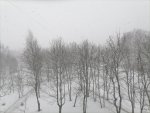 IMG_20210305_115525.jpg