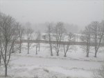 IMG_20210305_115529.jpg