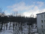 IMG_20210305_120303.jpg