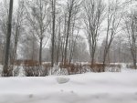 IMG_20210307_102114.jpg
