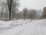 IMG_20210307_102117.jpg