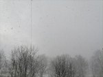 IMG_20210308_163611.jpg