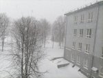 IMG_20210308_163555.jpg
