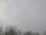 IMG_20210308_163604.jpg