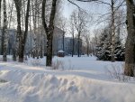 IMG_20210309_083219.jpg