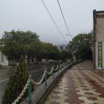IMG_20210321_141404_resize_64.jpg