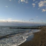 IMG_20210308_172214_resize_53.jpg