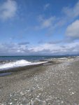 IMG_20210312_111415_1_resize_44.jpg