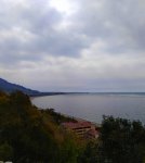 IMG_20210322_161100_resize_14.jpg