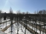 IMG_20210328_120745.jpg