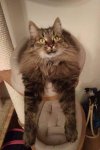FB_IMG_1617017804364.jpg