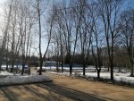 IMG_20210329_162938.jpg