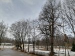 IMG_20210402_084312.jpg