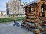 Территория5.jpg