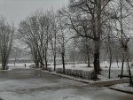 IMG_20210408_095155.jpg