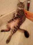 FB_IMG_1618125441683.jpg
