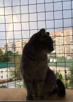 FB_IMG_1618125447918.jpg