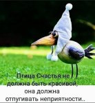 Птица_счастья.jpg
