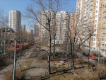 IMG_20210411_093925.jpg