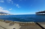 20210504_160747.jpg