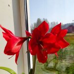 IMG_20210513_091814_resize_37.jpg