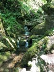 IMG-20210517-WA0037_resize_14.jpg