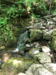 IMG-20210517-WA0035_resize_0.jpg