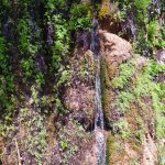 IMG_20210516_233638_resize_0.jpg
