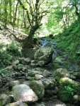 IMG-20210517-WA0048_resize_21.jpg