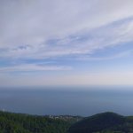 IMG_20210517_080644_resize_11.jpg